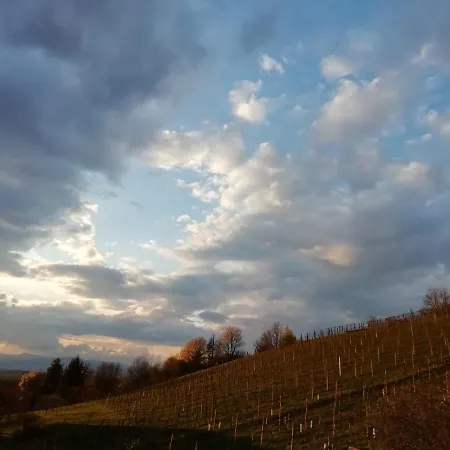 בית נופש Penitz *