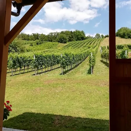 בית נופש Penitz