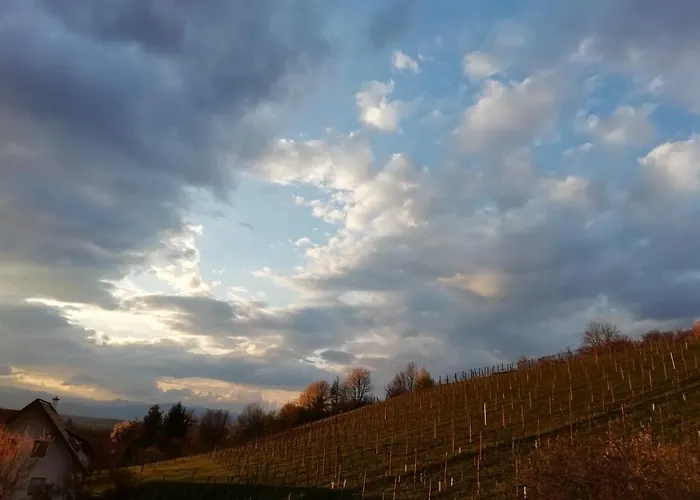 Дом отдыха Penitz *