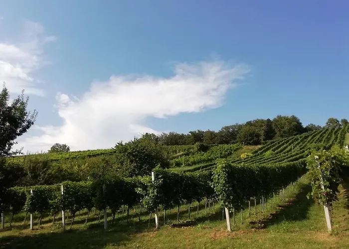 Дом отдыха Penitz