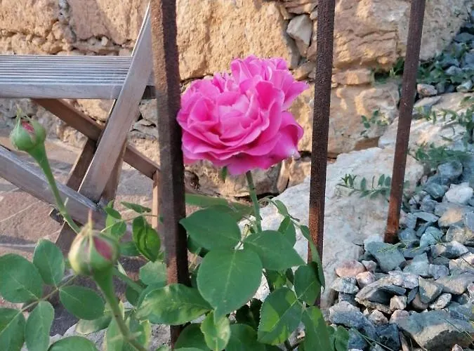 Penitz * Гросклайн