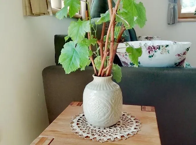 Penitz Дом отдыха