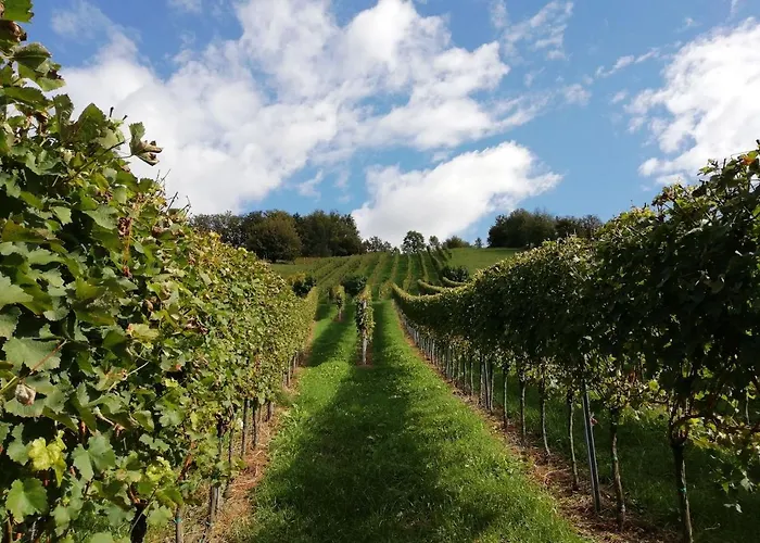 Semesterbostad Penitz